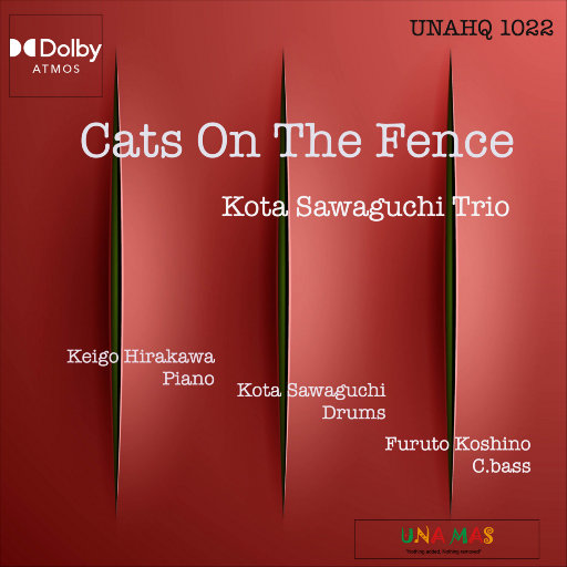 裸体美女中出视频
